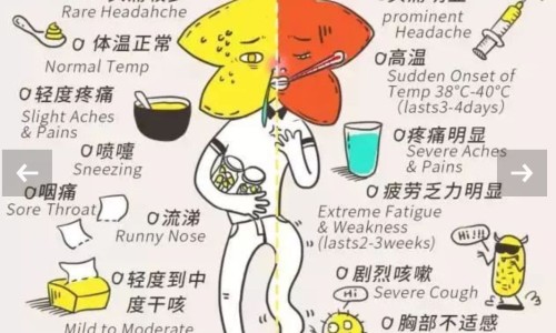 淋病治疗期间能吃辛辣食物吗网 - 为你提供淋病期间吃辣会有什么后果、淋病治疗期间能吃辛辣食物吗