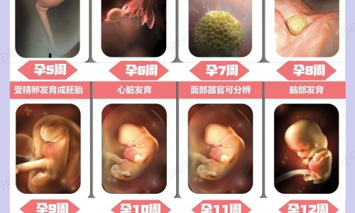 淋病治疗期间能吃辛辣食物吗-淋病治疗期间能吃辛辣食物吗网 - 为你提供淋病期间吃辣会有什么后果、淋病治疗期间能吃辛辣食物吗