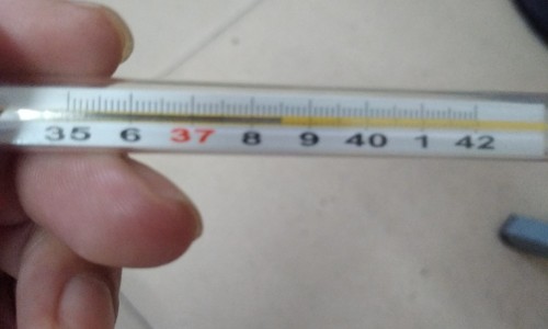 淋病治疗期间能吃辛辣食物吗网 - 为你提供淋病期间吃辣会有什么后果、淋病治疗期间能吃辛辣食物吗